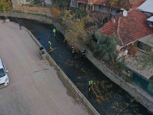 Dalakdere’de Temizlik Çalışması