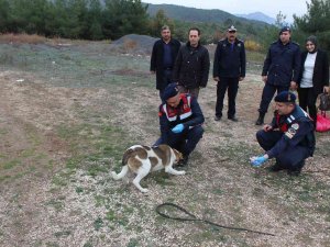 Bilecik’te Sokak Hayvanlarını Elleriyle Beslediler