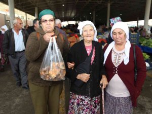 Dağdan Toplanan Çıntar, Tezgahlara İndi