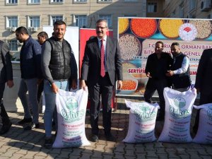 Çiftçilere Yüzde 75 Hibe Destekli Mercimek Dağıtıldı