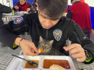 Polis Yemeğini Kucağına Aldığı Kedi İle Paylaştı
