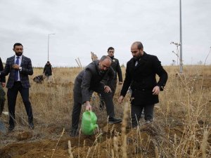 Baberti Külliyesi Yeni Ağaçlarla Renkleniyor