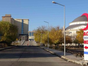 Diyarbakır’da ’Kıskançlık’ Krizi Kanlı Bitti: Kadın Ensesinden Vuruldu
