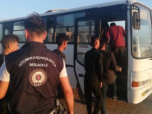 Eskişehir’de 9 Düzensiz Göçmen Yakalandı