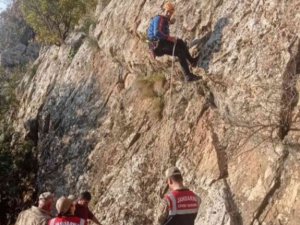 Siirt’te Kayalıklarda Mahsur Kalan Keçiler 5 Gün Sonra Kurtarıldı