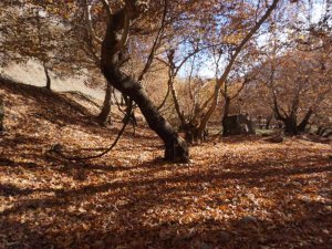 Şırnak’ta Kartpostallık Görüntüler Oluştu