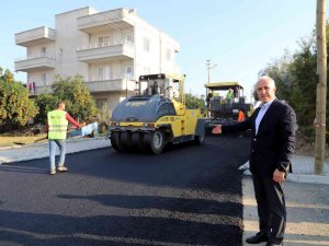Gültak: "Her Türlü Defansa Rağmen Akdeniz, Özlediği Hizmetlere Kavuşuyor"