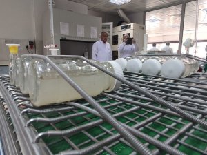 Tarım Ve Orman Bakanlığı Çiftçilerin Yüksek Kalitede Ürün Elde Etmesini Sağlıyor