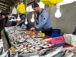 Balık Bollaştı, Fiyatlar Ucuzladı