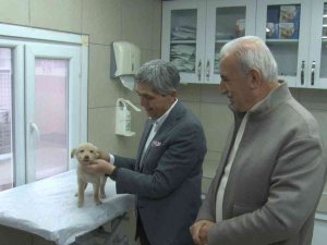 Ümraniyeli Gençlerden Hayvan Bakımevine Ziyaret