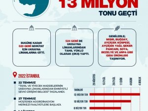 Tahıl Koridorunda Taşınan Tahıl 13 Milyon Tonu Geçti