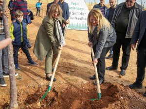 Büyükşehir, Odtü Mezunları Derneği İş Birliğinde 5 Bin Metrekarelik Alanı Ağaçlandırdı