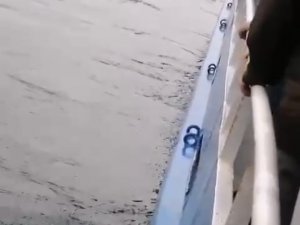 Vapurdan Denize Yolcu Düştü, Korku Dolu Anlar Kameraya Yansıdı