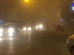 Ceylanpınar’da Sis Ulaşımı Olumsuz Etkiledi