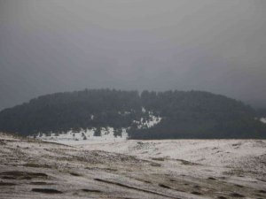Hanak Ve Çamlıçatak Ormanlarında Kar Ve Sis Manzarası Havadan Görüntülendi