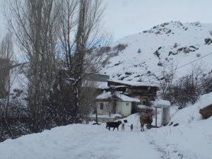 Bayburt’un Yüksek Kesimlerinde Kar Yağışı Etkili Oldu