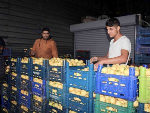 Aydın’da Pazarların En Rağbet Gören Ürünü Limon Oldu
