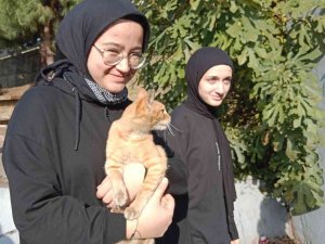 Biriktirdikleri Harçlıklarıyla Sokak Hayvanlarına Mama Aldılar