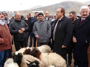 Başkan Kandaşoğlu’ndan Canlı Hayvan Borsası Müjdesi