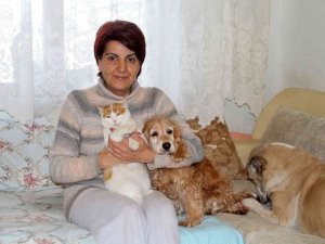 Hayvan Sever Ezeli Düşmanlığa Son Verdi