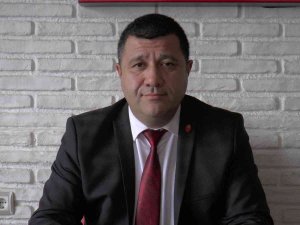 Ergül: “Sokak Hayvanları Veterinerlerin Değil, Belediyelerin Sorumluluğundadır”