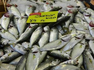 Balık Tezgahlarında Palamutun Yerini Çinekop Alıyor