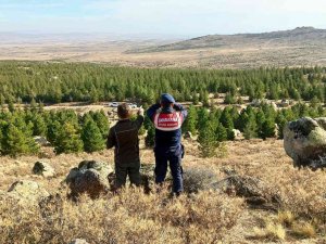 Aksaray’da Jandarma Anadolu Yaban Koyunlarını Dron İle Takip Ediyor