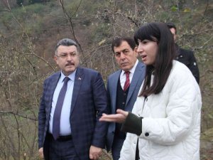 Trabzon’a Fındık Adası Kurulacak