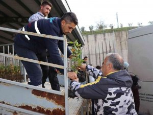 Çiftçilere "Süper Meyve" Fidanı Dağıtıldı