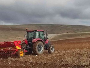 Yozgat’ta Buğday Ekimi Sürüyor