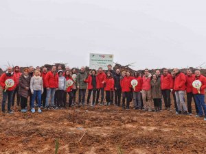 16 Bin Fidan Toprakla Buluştu