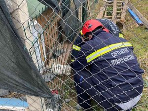 Kafası Çitlere Sıkışan Yavru Köpeği İtfaiye Kurtardı