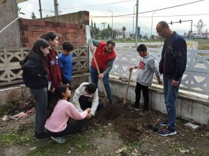 Germencik’te Gönüllüler Cami Bahçesine Fidan Dikti