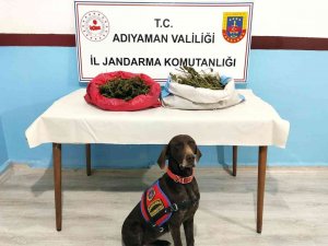 Jandarma Uyuşturucu Tacirlerine Geçit Vermiyor