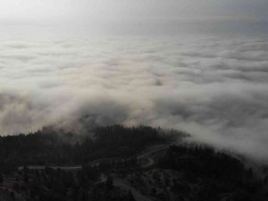 Eskişehir’i Sis Örttü