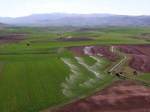 “Kırsal Kalkınma Hibe Desteği” Başvuruları 9 Aralık Cuma Günü Başlıyor