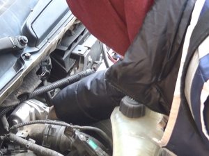 Şefkatli Polisten Araçta Sıkışan Yavru Kediye Yardım Eli