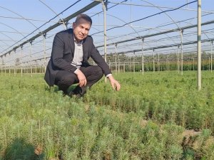 Adana’nın Fidanları Ceyhan’da Yetiştiriliyor