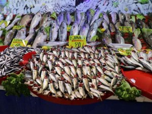 Malatya’da Balıkçı Tezgahlarının Gözdesi ’İstavrit’