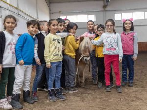 Manej Alanı Ve Atçılık Koordinatörlüğü Hizmetini Sürdürüyor