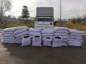Ankara’da 2 Tondan Fazla Kıyılmış Tütün Ele Geçirildi