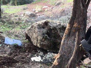 Kazadan Kurtuldu Ama Kayadan Kurtulamadı