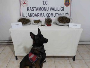 Evinde Esrarla Yakalanan Şüpheli Tutuklandı