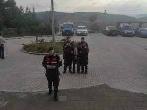 11 Yıl Kesinleşmiş Hapis Cezası Bulunan Şahıs, Gizlendiği Ormanda Jandarmaya Yakalandı