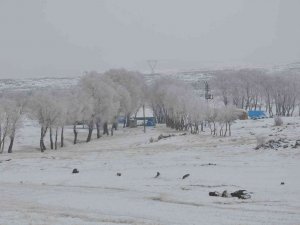 Kars’ta Lavaşın Gölü Buz Tuttu