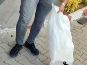 Bilecik’te Kyk Yurdunda Skandal Görüntü: Bahçedeki Kedileri Çuvallara Koyarak Topladılar