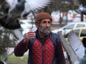 8 Asırlık Camide 17 Yıldır Kuşlara Babalık Yapıyor