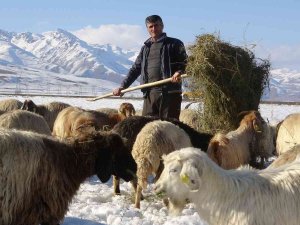 Besicilerin 6 Ay Süren Kış Mesaisi Başladı
