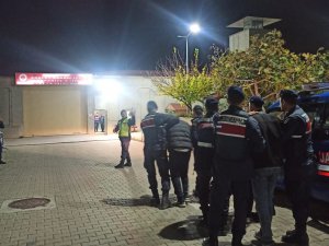 Zeytin Hırsızları Yakalandı, 18 Kişi Tutuklandı