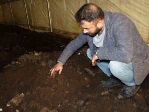 Solucan Gübresine Talep Her Geçen Gün Artıyor